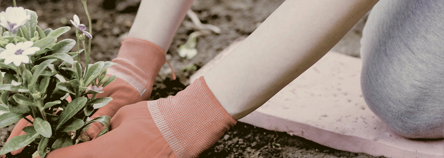 Gardening injuries and their prevention with TM Physio