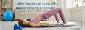 A Little Knowledge About a Big Muscle Group – The Glutes