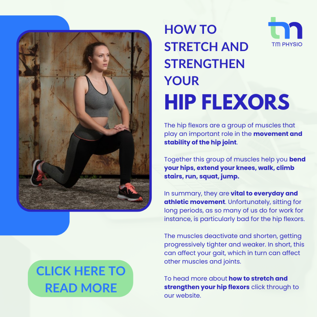 Hip FLexors