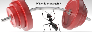 What is Strength?
